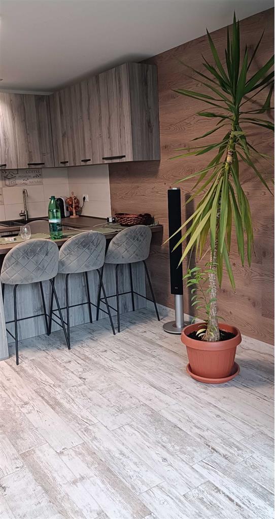 Etaj 1 cu 2 dormitoare și 2 balcoane, mobilat și utilat